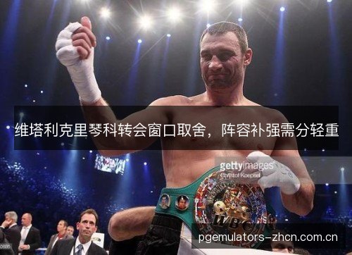 维塔利克里琴科转会窗口取舍，阵容补强需分轻重